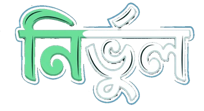 নির্ভুল